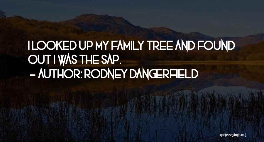 Rodney Dangerfield Quotes 1041584