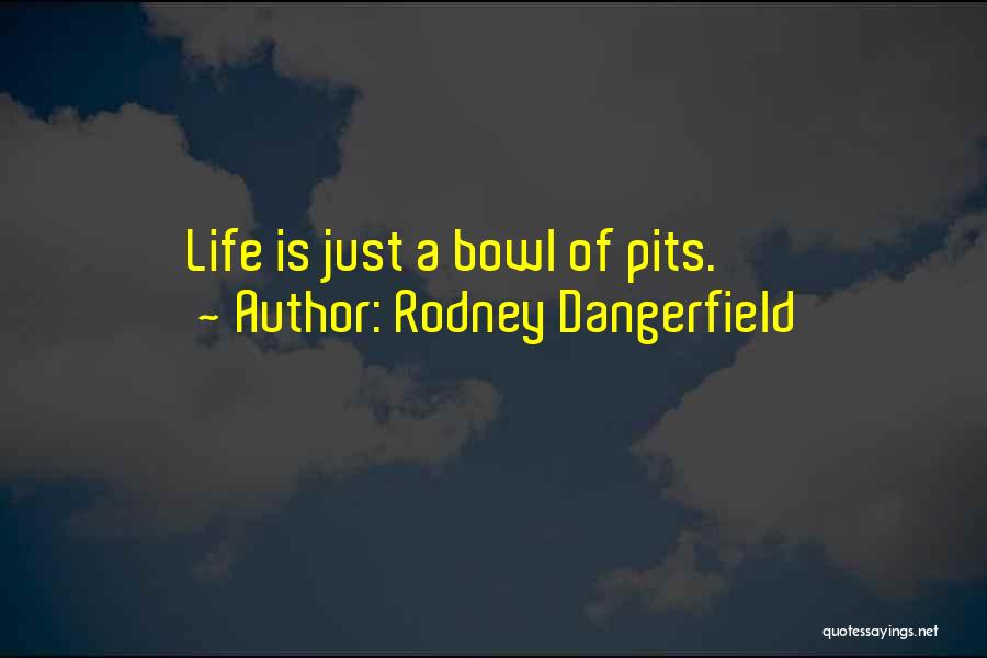 Rodney Dangerfield Quotes 1076467