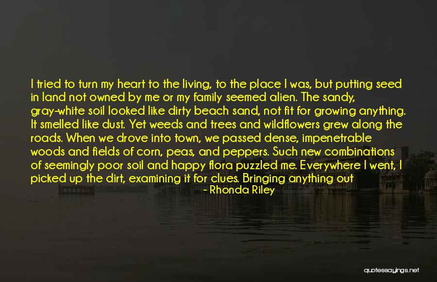 Rodolfo Aicardi Quotes By Rhonda Riley Rodolfo Aicardi Quotes By Rhonda Riley