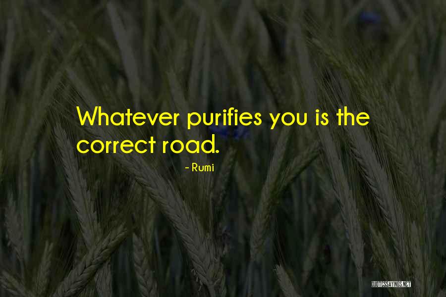 Rodwan Mahfouz Quotes By Rumi Rodwan Mahfouz Quotes By Rumi