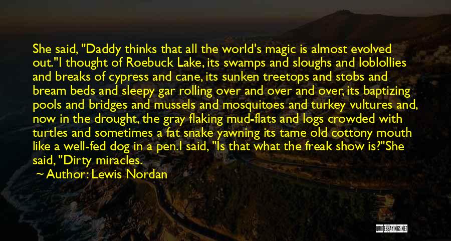 Roebuck Quotes By Lewis Nordan