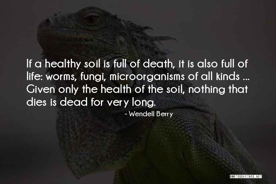 Roelens Property Quotes By Wendell Berry Roelens Property Quotes By Wendell Berry