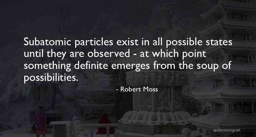 Roelf Van Quotes By Robert Moss
