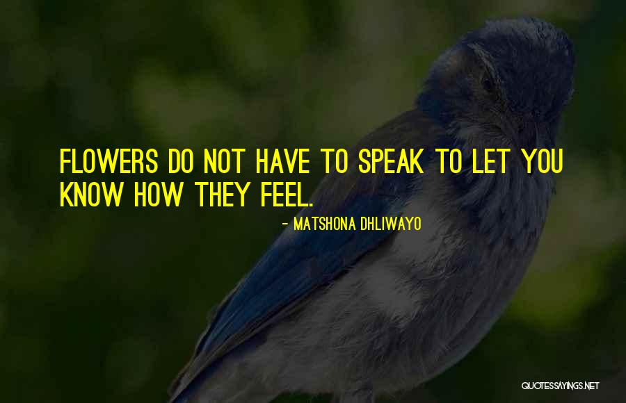 Roffey Pet Quotes By Matshona Dhliwayo