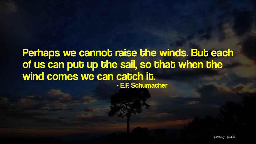 Rogallo Rock Quotes By E.F. Schumacher Rogallo Rock Quotes By E.F. Schumacher