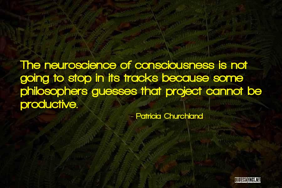 Rogare Quotes By Patricia Churchland Rogare Quotes By Patricia Churchland