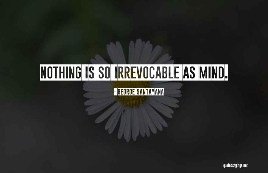 Rogelio Salmona Quotes By George Santayana Rogelio Salmona Quotes By George Santayana