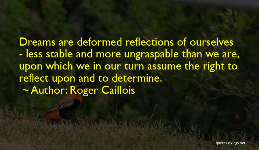 Roger Caillois Quotes 1234465