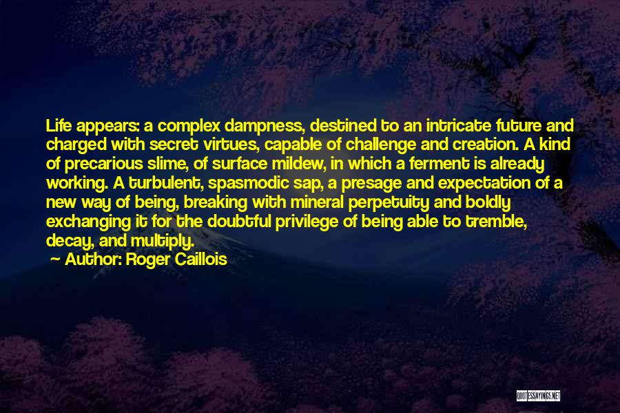 Roger Caillois Quotes 997247
