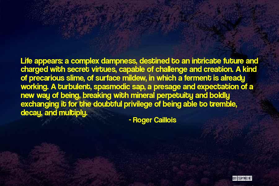 Roger Caillois Quotes 997247