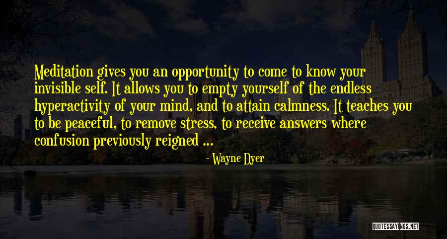 Roger Iger Quotes By Wayne Dyer Roger Iger Quotes By Wayne Dyer