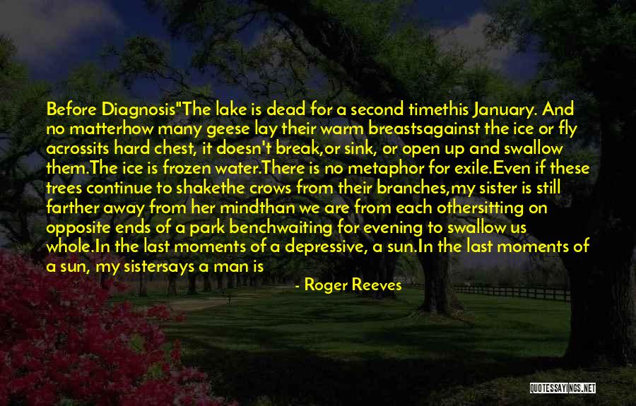 Roger Reeves Quotes 2109970