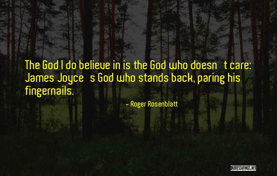 Roger Rosenblatt Quotes 1380267