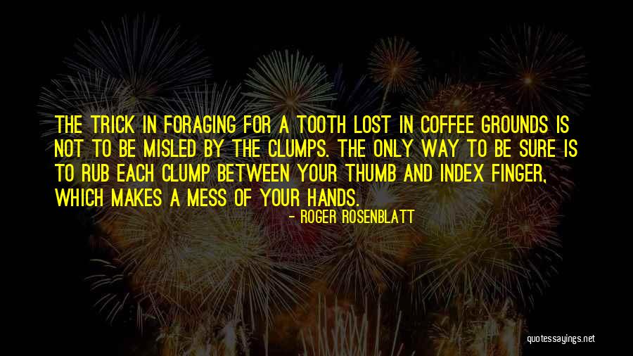 Roger Rosenblatt Quotes 2148683