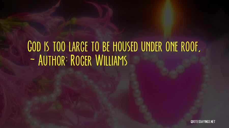 Roger Williams Quotes 2234941