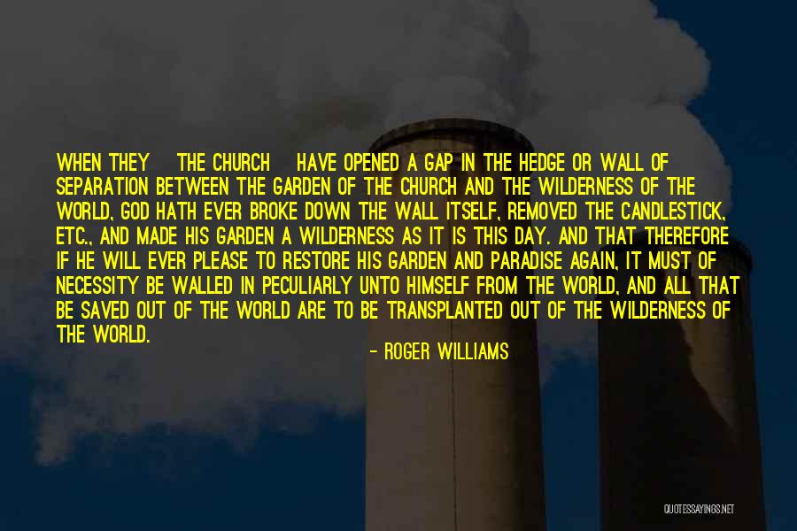 Roger Williams Quotes 748739