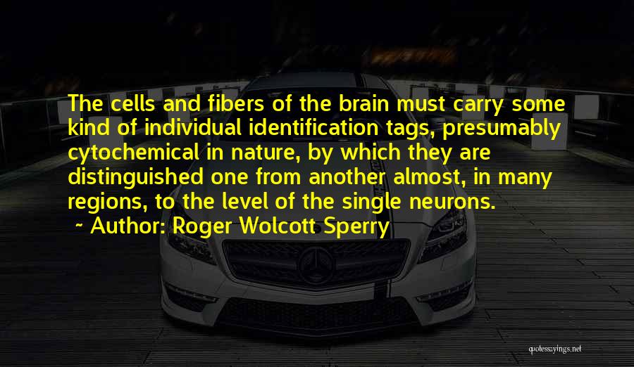 Roger Wolcott Sperry Quotes 2093519