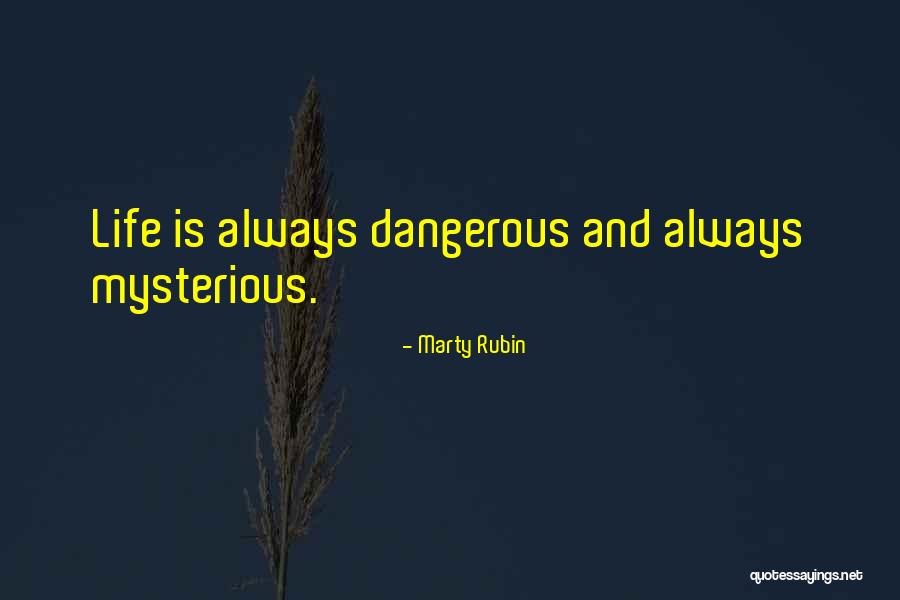 Rogozhin Christ Quotes By Marty Rubin Rogozhin Christ Quotes By Marty Rubin