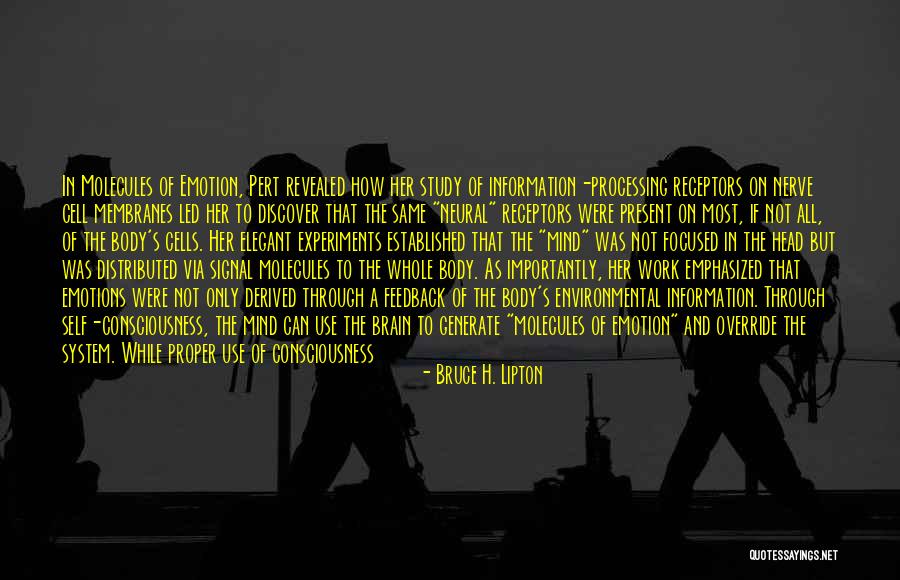Rohan Name Quotes By Bruce H. Lipton Rohan Name Quotes By Bruce H. Lipton