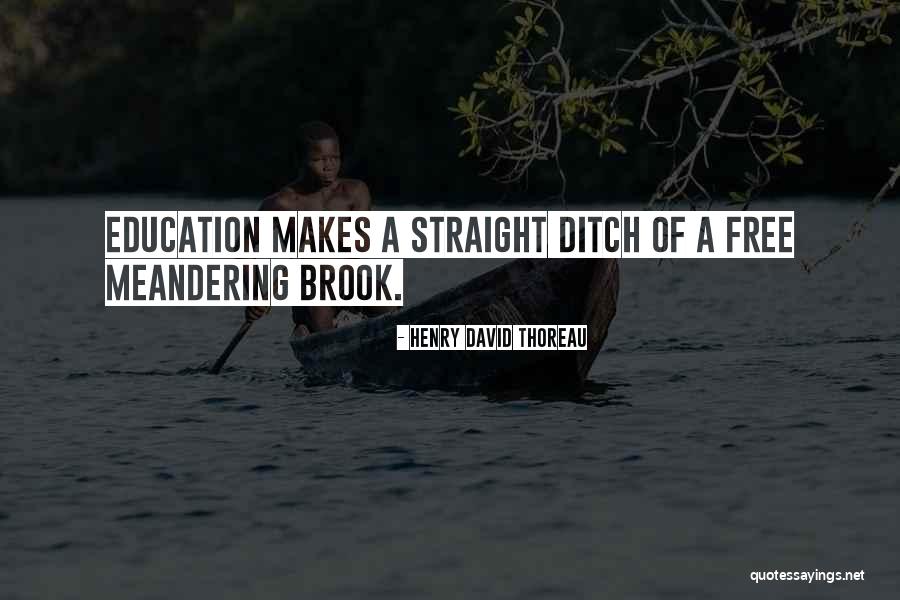 Rohinton Iranpur Quotes By Henry David Thoreau Rohinton Iranpur Quotes By Henry David Thoreau