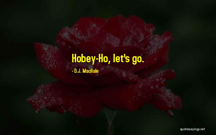 Rohitassa Quotes By D.J. MacHale Rohitassa Quotes By D.J. MacHale