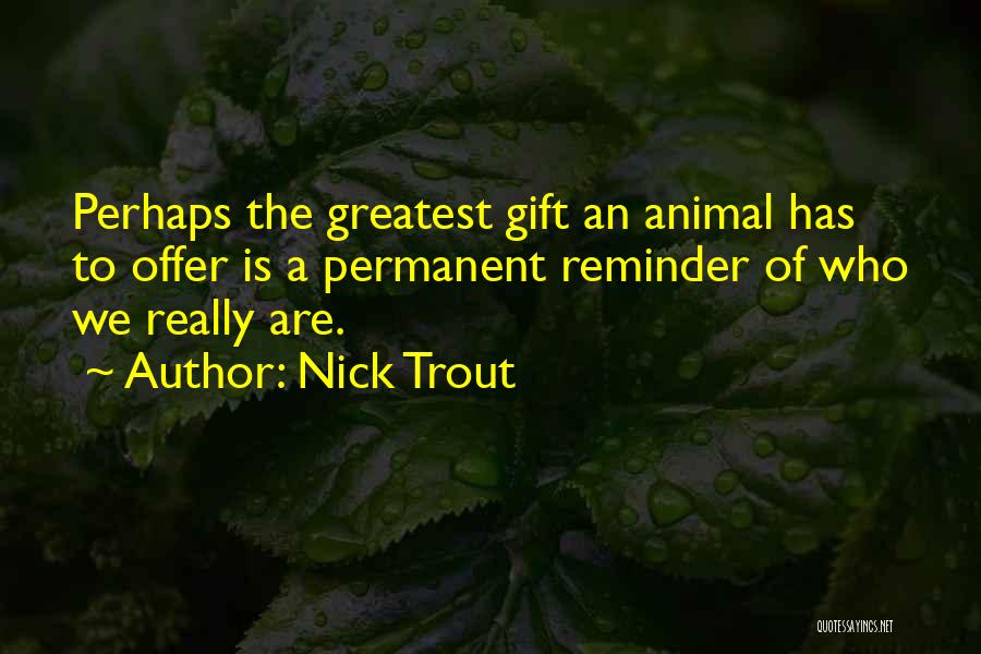 Rohrbachs Quotes By Nick Trout