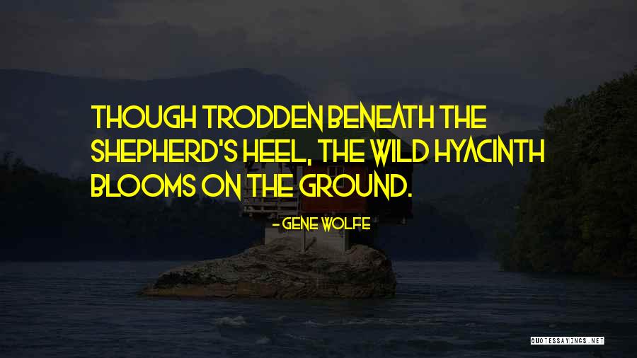 Roitman Las Vegas Quotes By Gene Wolfe Roitman Las Vegas Quotes By Gene Wolfe