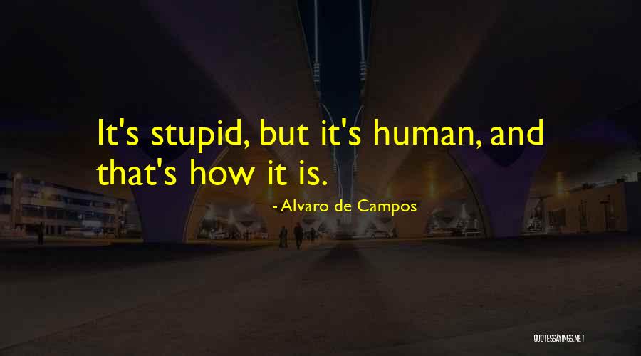 Rojaner Quotes By Alvaro De Campos Rojaner Quotes By Alvaro De Campos