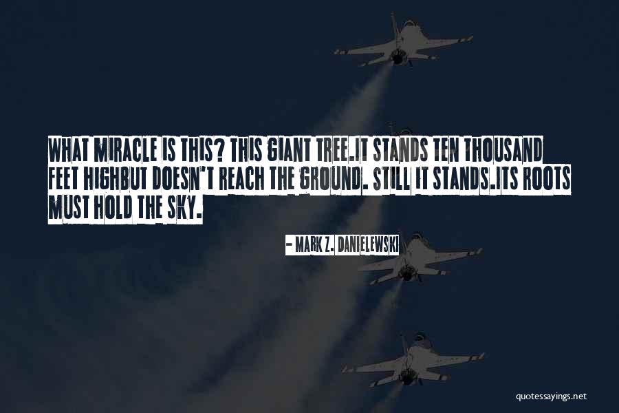 Rokade Schaken Quotes By Mark Z. Danielewski Rokade Schaken Quotes By Mark Z. Danielewski