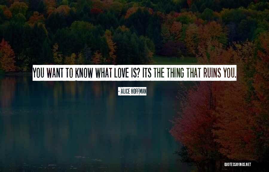 Rokas Gustys Quotes By Alice Hoffman Rokas Gustys Quotes By Alice Hoffman