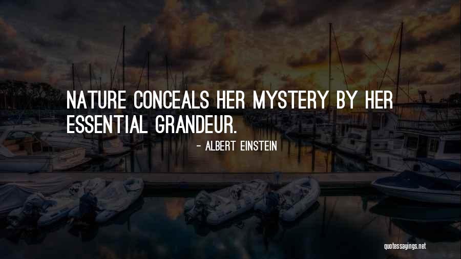 Rokaya Shenasa Quotes By Albert Einstein Rokaya Shenasa Quotes By Albert Einstein