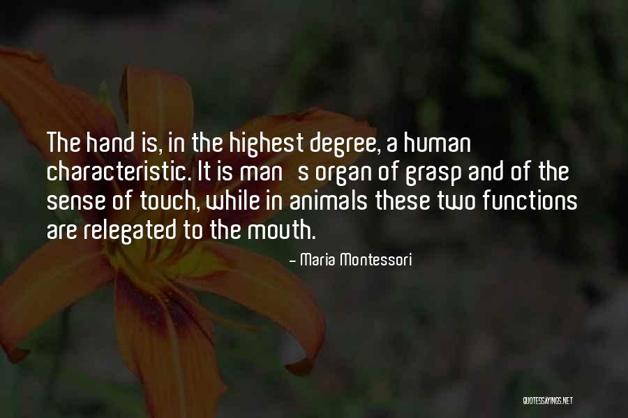 Rokisky Attorney Quotes By Maria Montessori Rokisky Attorney Quotes By Maria Montessori