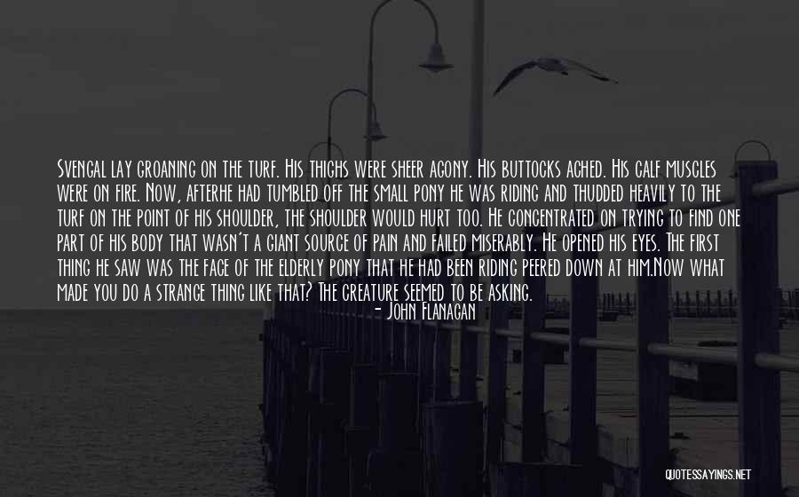 Roku Com Link Support Quotes By John Flanagan