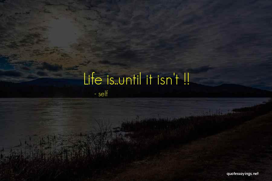 Rolags Quotes By Self Rolags Quotes By Self