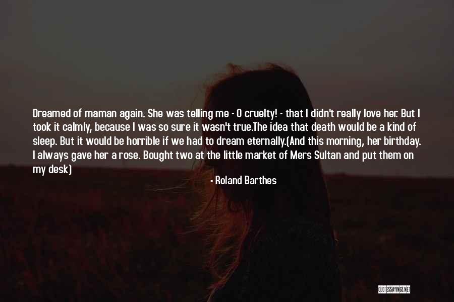 Roland Barthes Quotes 1018131