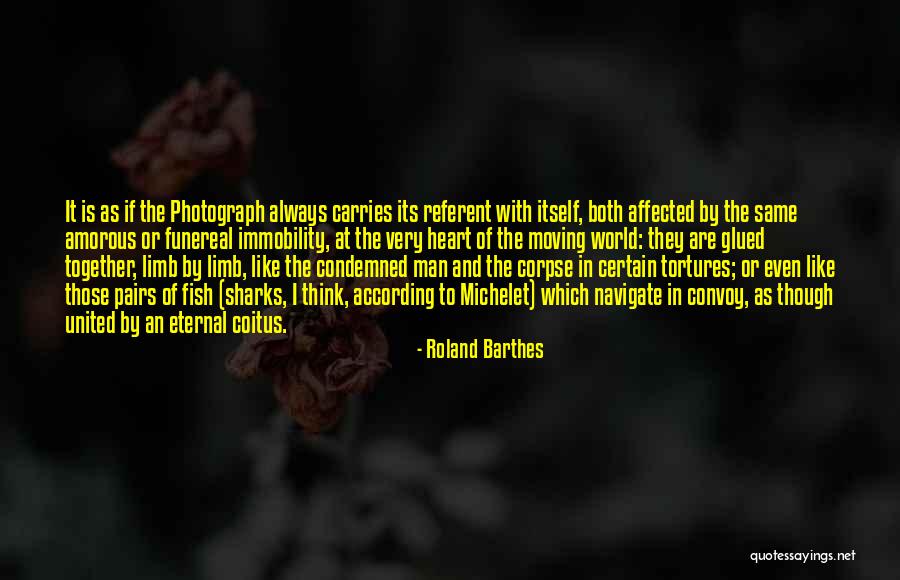 Roland Barthes Quotes 2199738