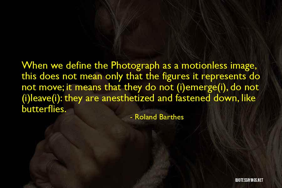 Roland Barthes Quotes 362128