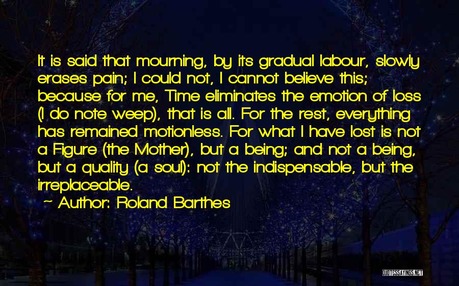 Roland Barthes Quotes 459630