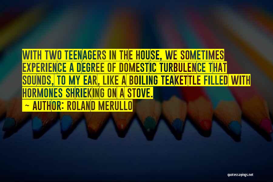 Roland Merullo Quotes 1149252