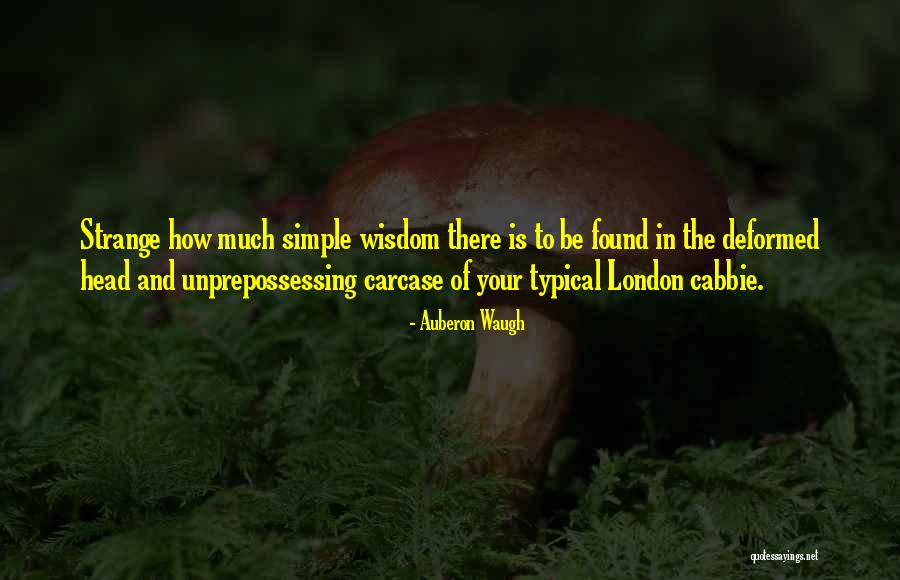 Rolanda Call Quotes By Auberon Waugh Rolanda Call Quotes By Auberon Waugh