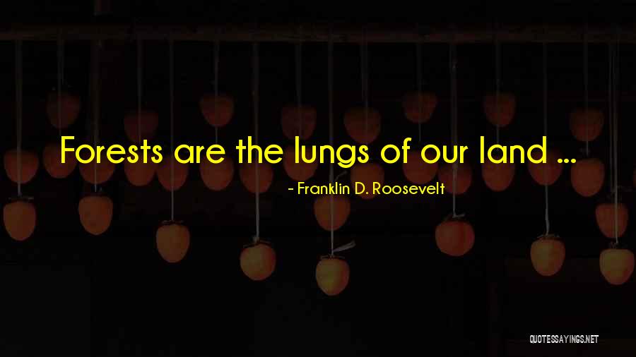 Rolandito Quotes By Franklin D. Roosevelt