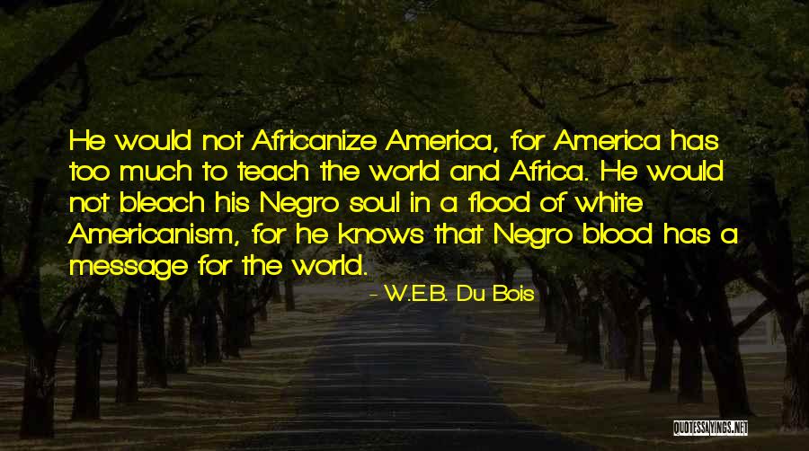 Rolark Quotes By W.E.B. Du Bois Rolark Quotes By W.E.B. Du Bois