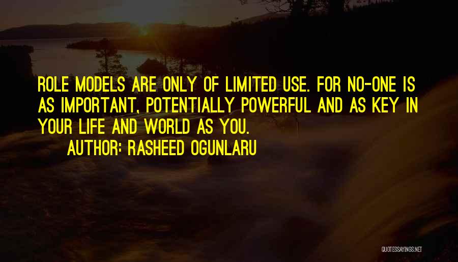 Role Models In Life Quotes By Rasheed Ogunlaru