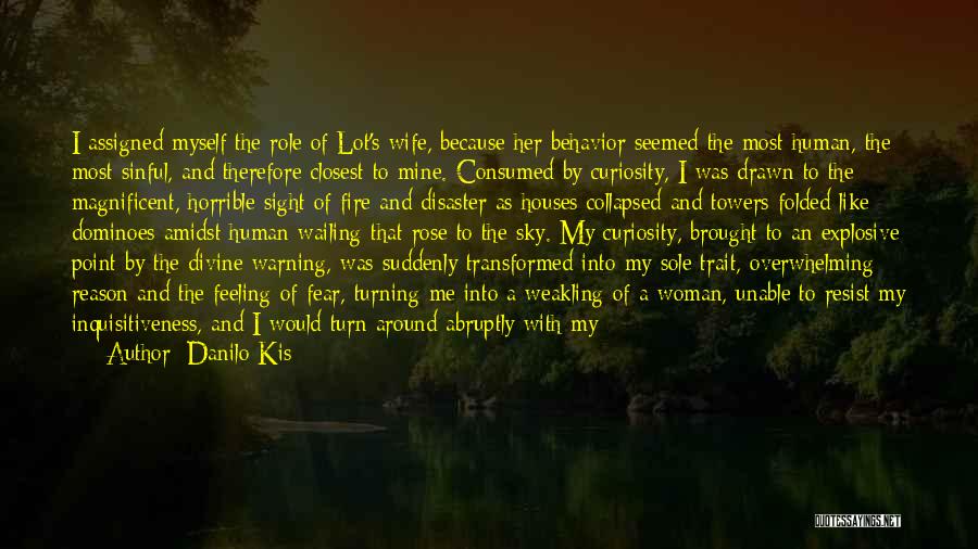 Role Of Wife Quotes By Danilo Kis