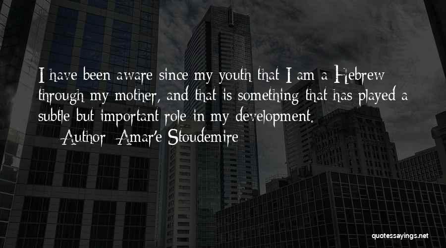 Role Of Youth Quotes By Amar'e Stoudemire