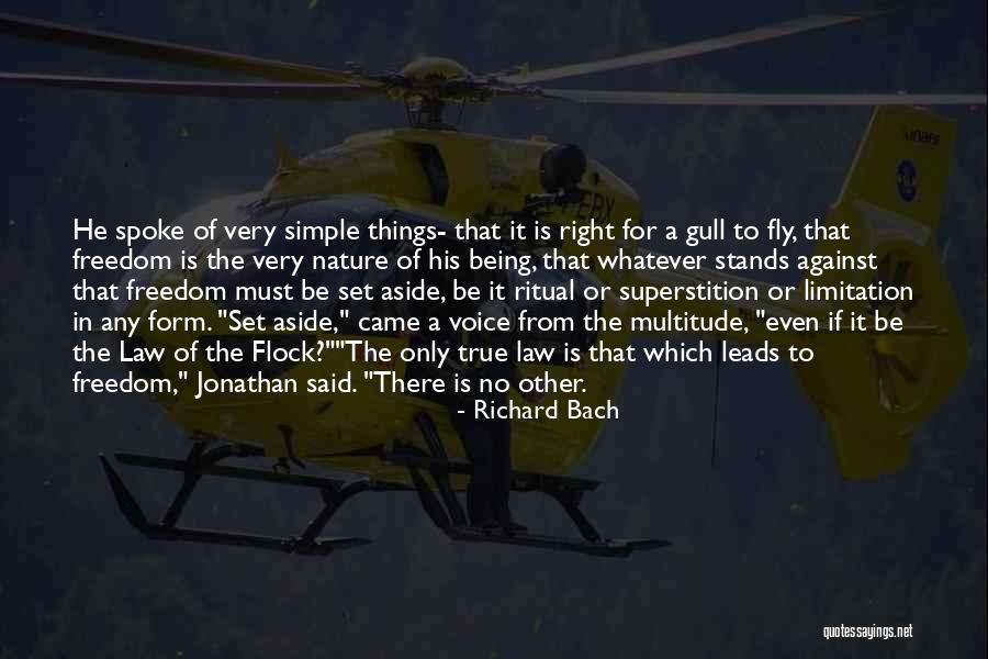 Rolens 31 Quotes By Richard Bach Rolens 31 Quotes By Richard Bach