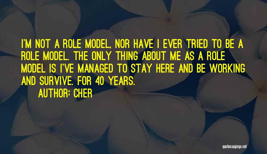 Roles Models Quotes By Cher
