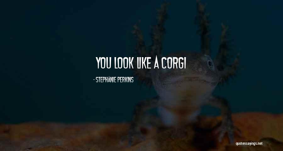 Roleta Misteriosa Quotes By Stephanie Perkins Roleta Misteriosa Quotes By Stephanie Perkins