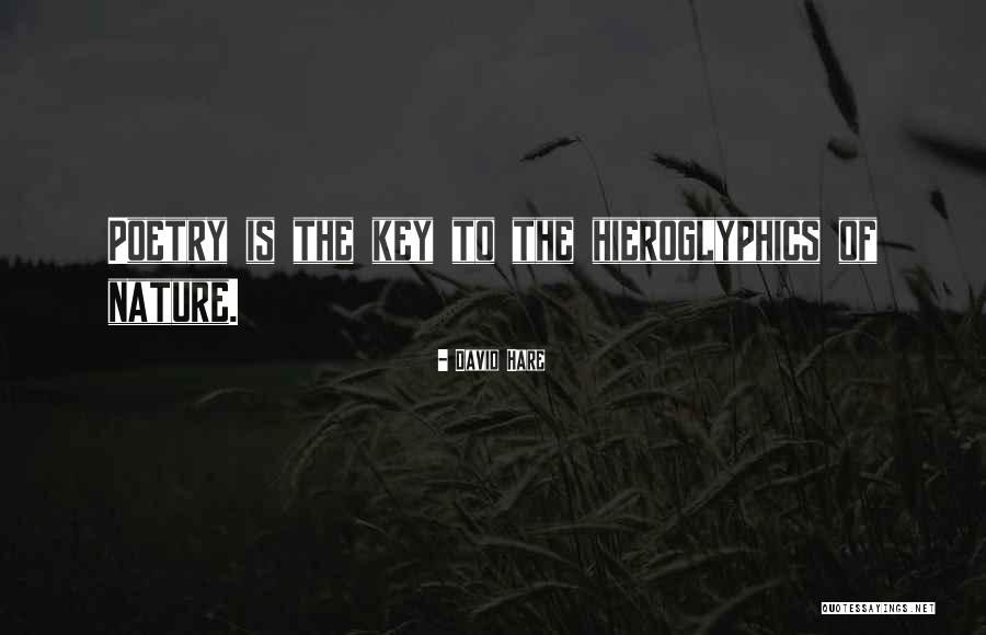 Roleta Russa Quotes By David Hare