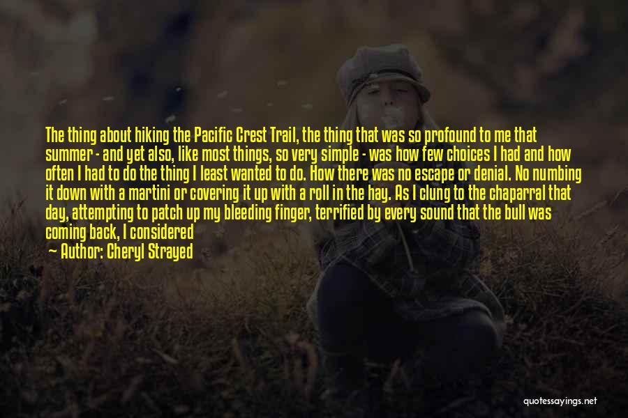 Roll It Up Quotes By Cheryl Strayed